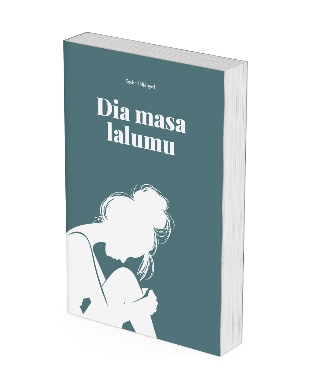 Cover of Dia Masa Lalumu